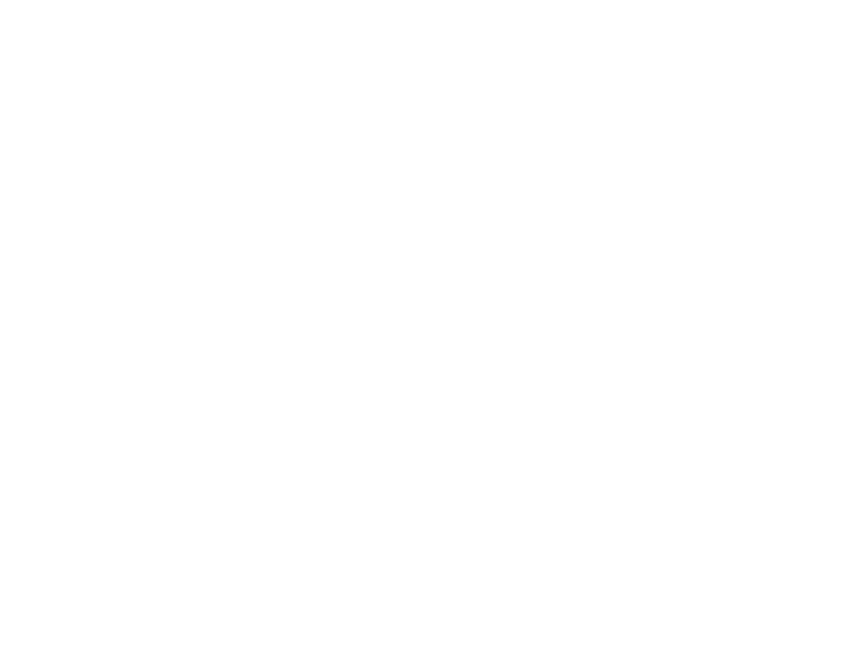 bgk_logo